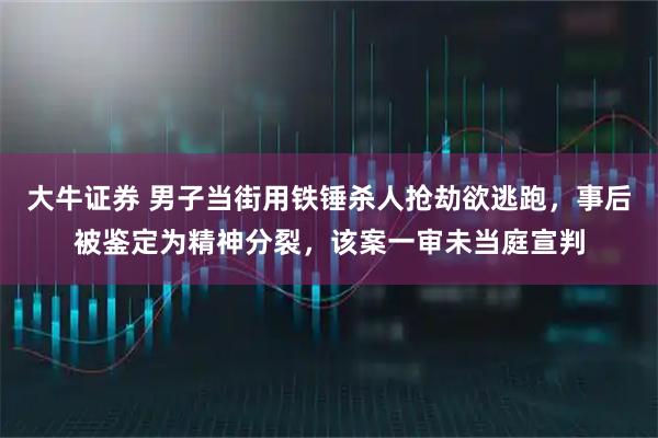 大牛证券 男子当街用铁锤杀人抢劫欲逃跑，事后被鉴定为精神分裂，该案一审未当庭宣判
