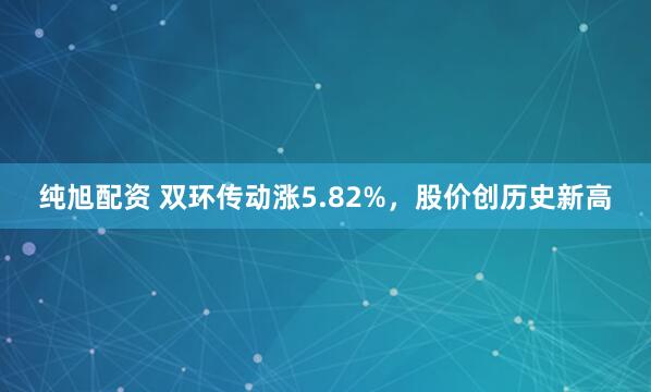 纯旭配资 双环传动涨5.82%，股价创历史新高