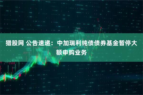 猎股网 公告速递：中加瑞利纯债债券基金暂停大额申购业务