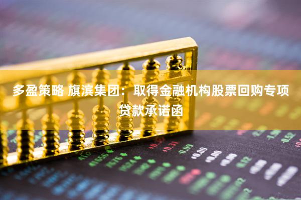 多盈策略 旗滨集团：取得金融机构股票回购专项贷款承诺函
